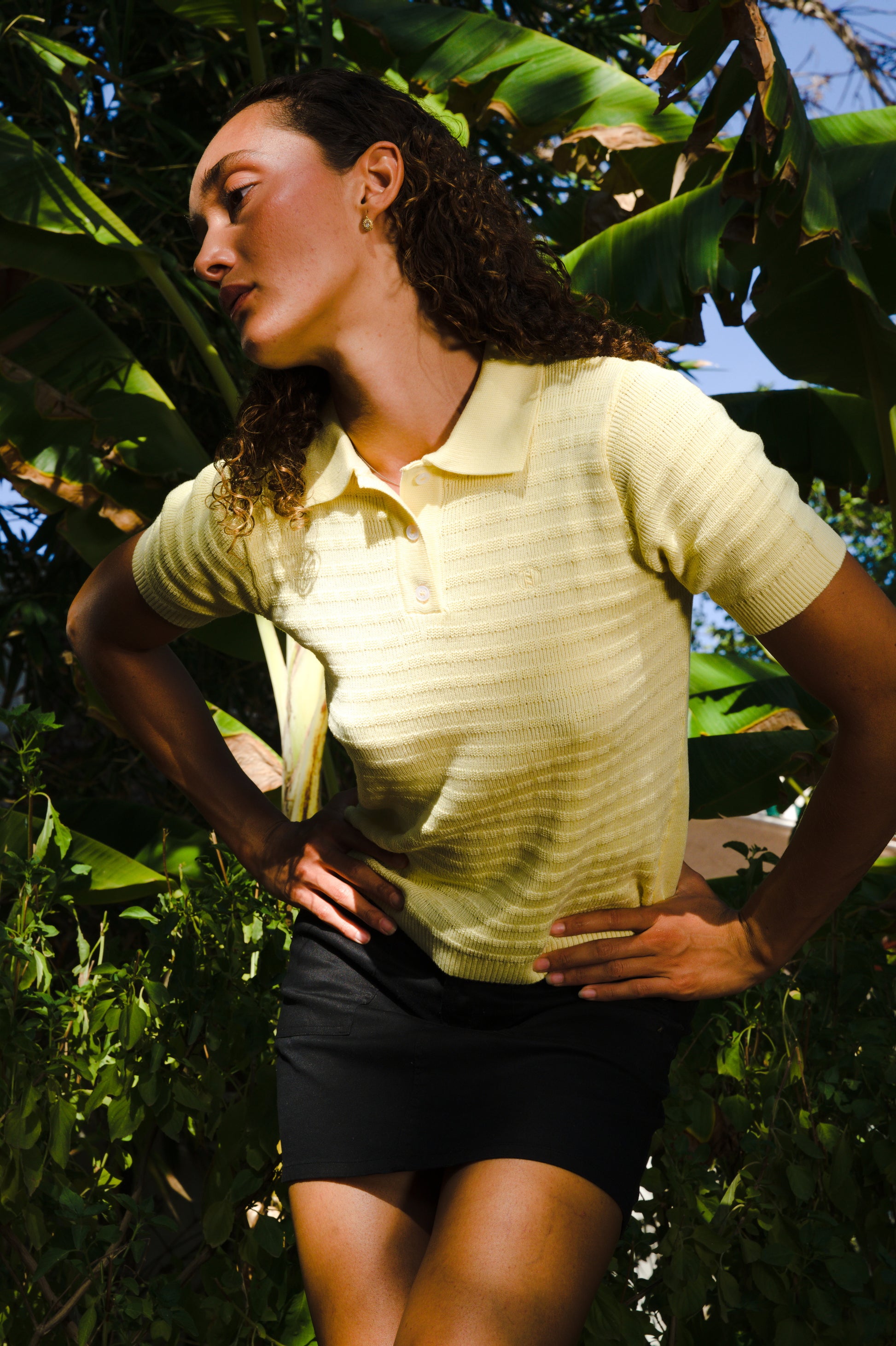 The Polo